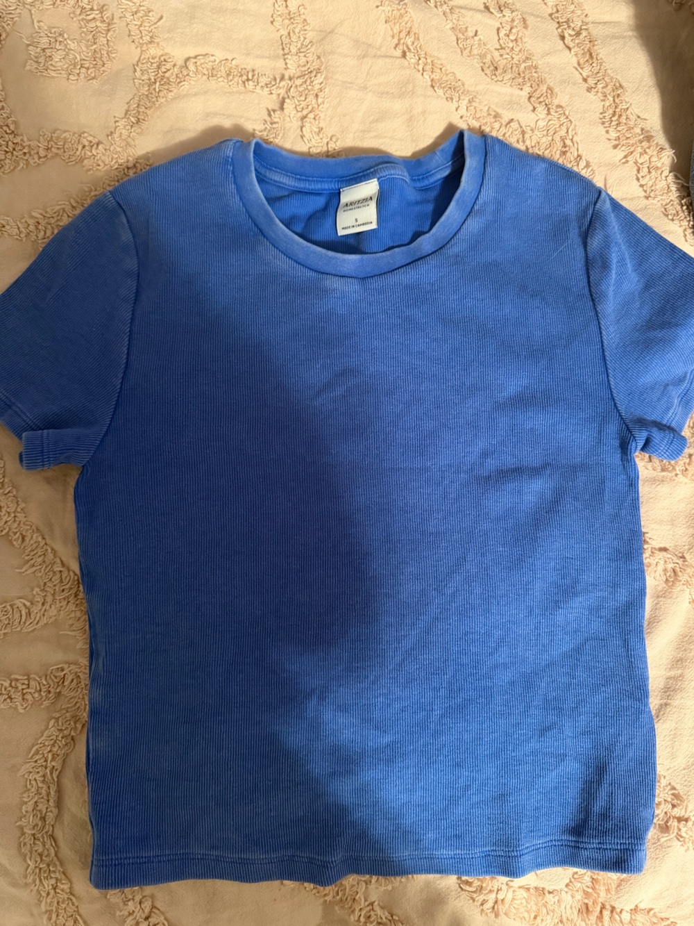 Aritzia Homestretch Tshirt